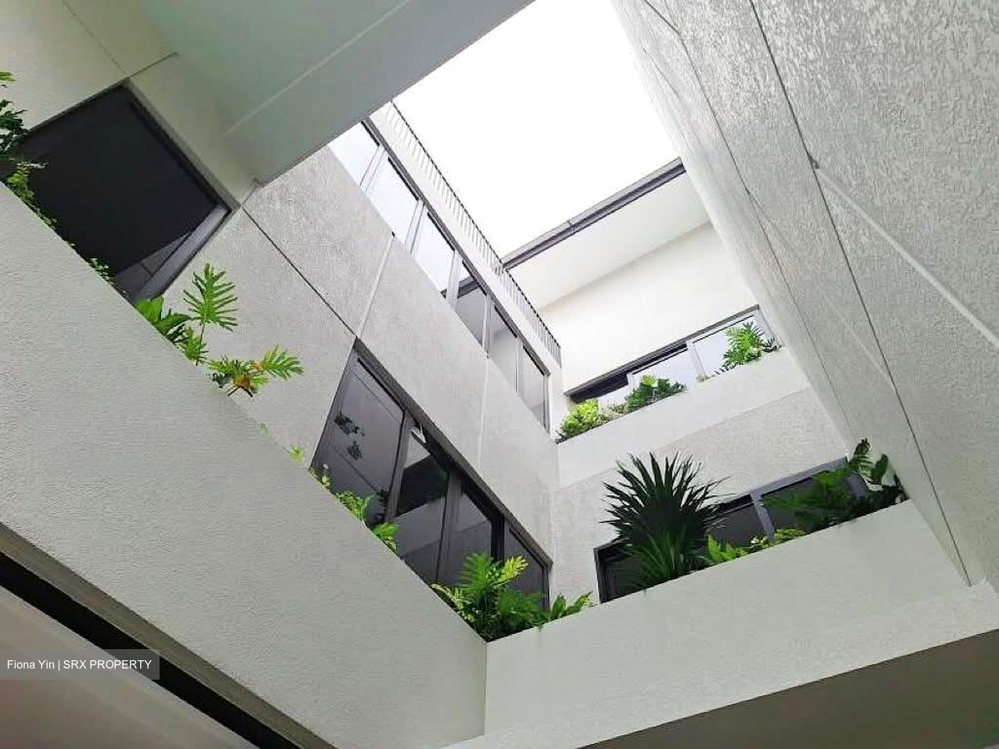 Henry Park (D10), Terrace #557816831